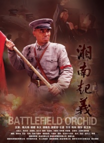 大淫家视频